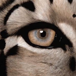 裸体秀XXXXXX极品HD
