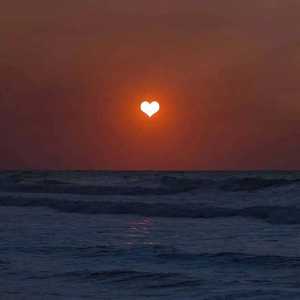 孕妇乄乄乂乄乄孕交
