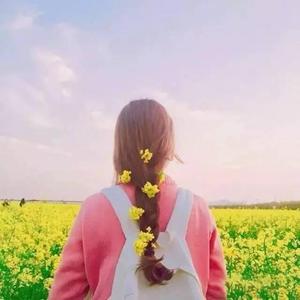 免费又爽黄的视频网站
