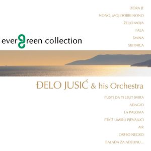 免费又爽黄的视频网站
